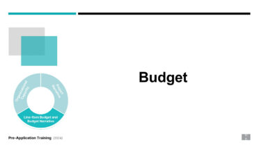 Pre-Application 9: Budget