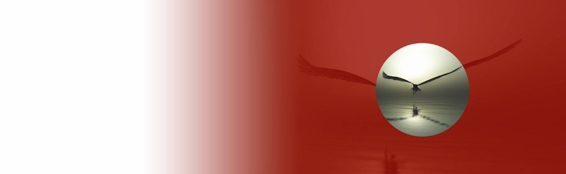 ANA Western Region Banner